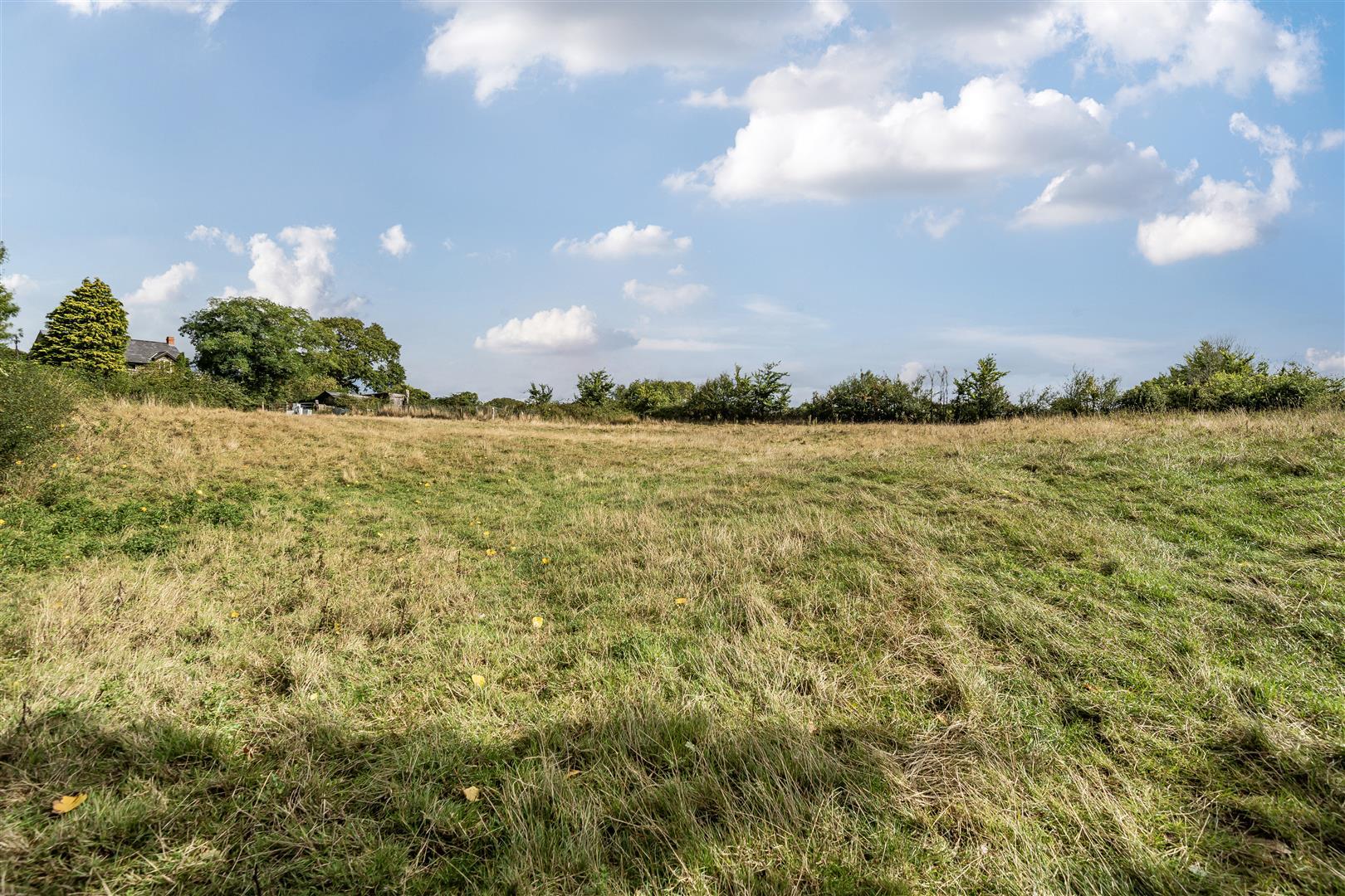 Property Image 2512bcc7-2529-44b1-8188-ae6f8afb7e09