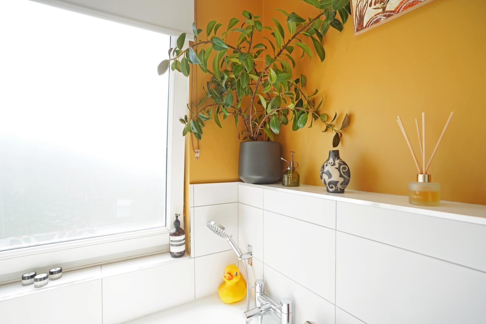 Property Image 254c9342-26ad-489a-a07b-e0b2996e5277
