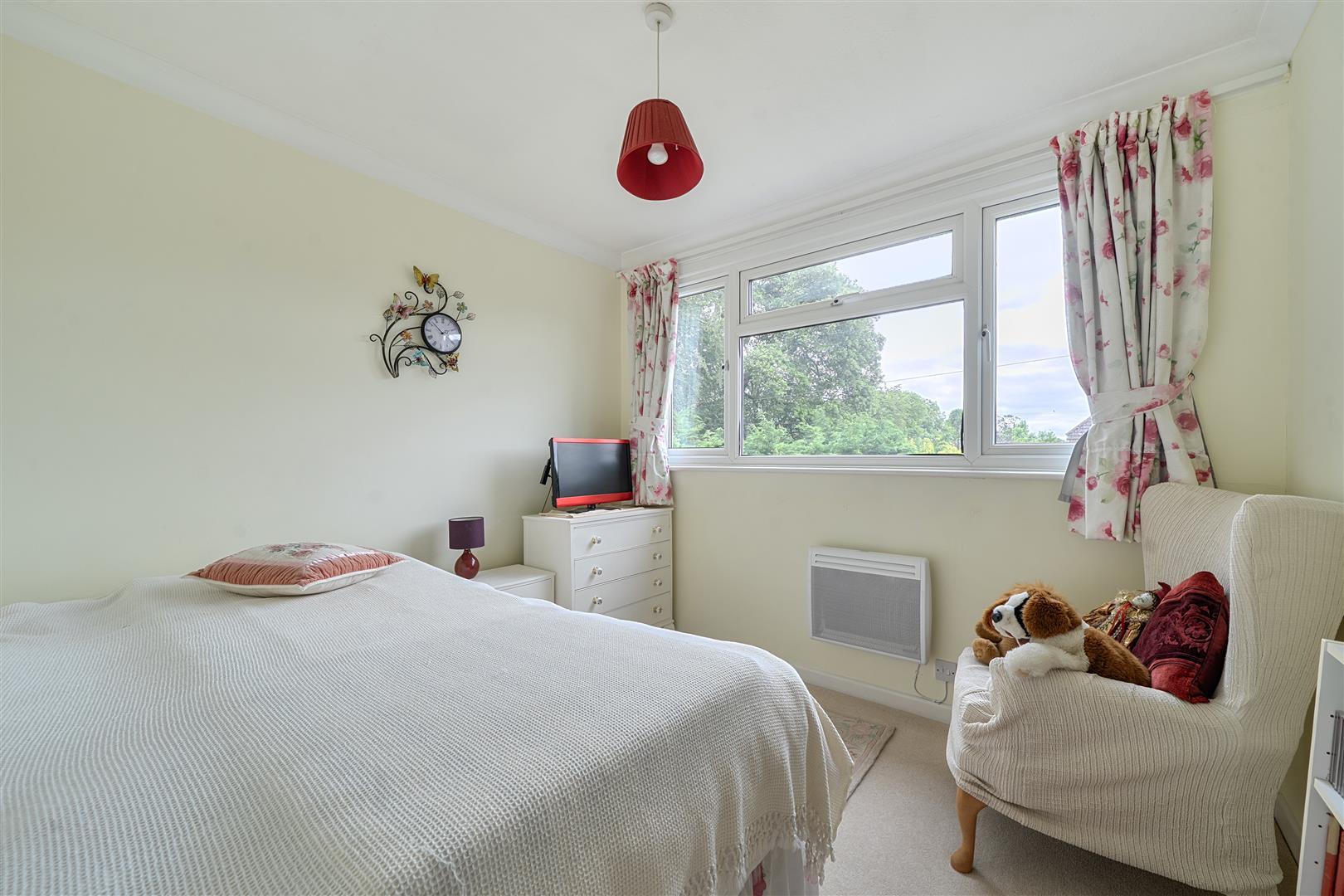 Property Image 256ca870-df11-4a1a-95cd-a8d55c8182df