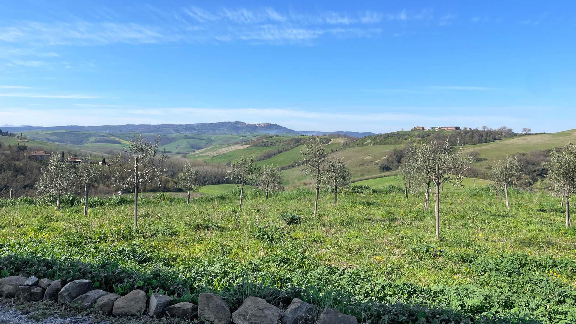 Property Image 25db58b3-642b-486e-96ed-184f305f178a