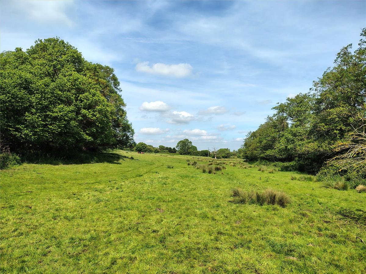 Property Image 25defeec-799a-422b-809f-a570069ba2ac