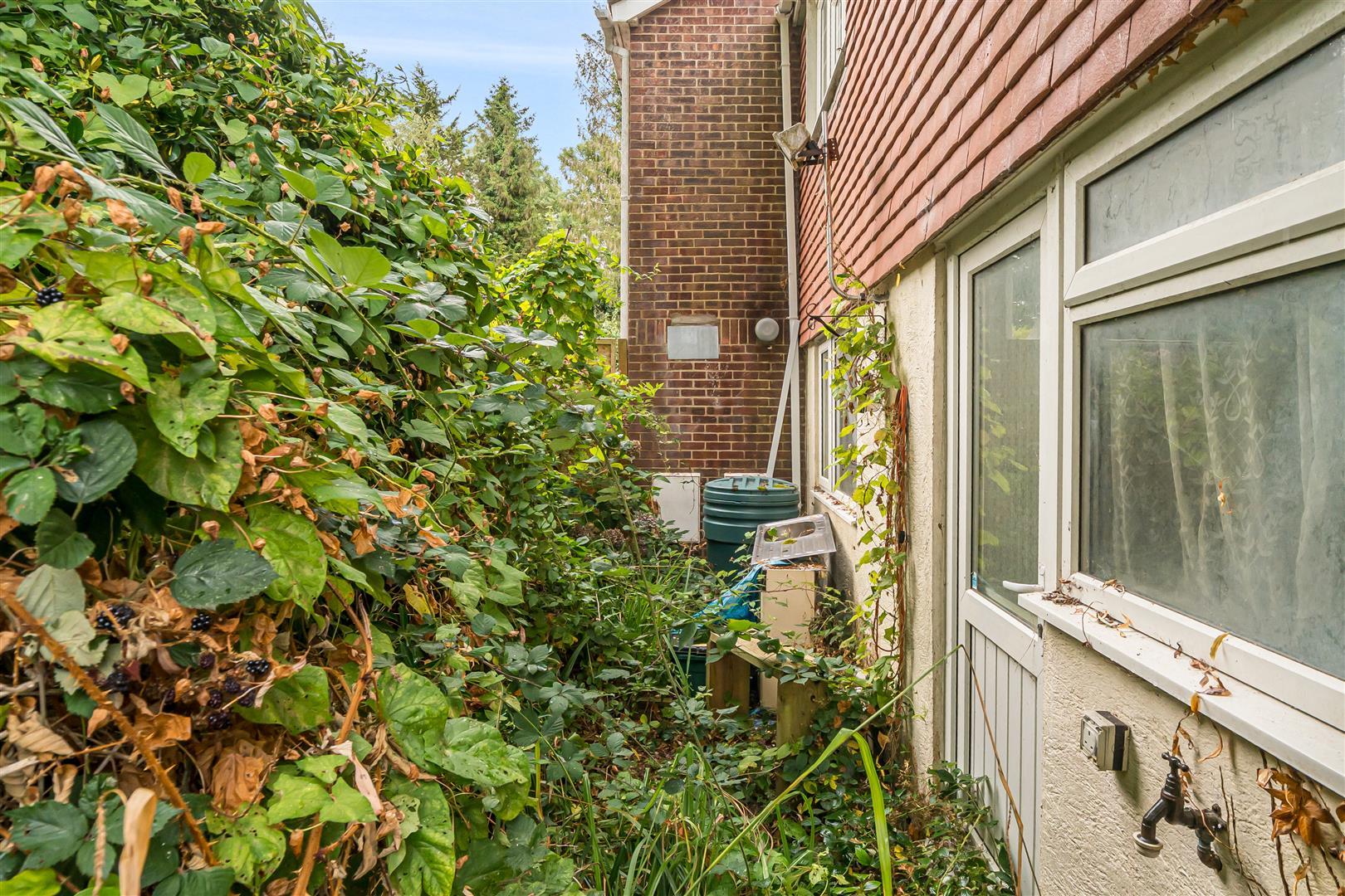 Property Image 25e812ac-64fb-41ef-8b92-75ed00d6e110