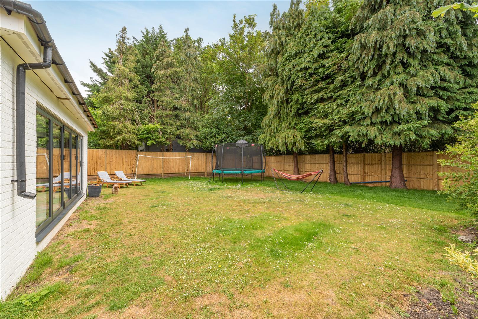 Property Image 2626aa9f-b693-41f3-982d-b6913bbff3c6