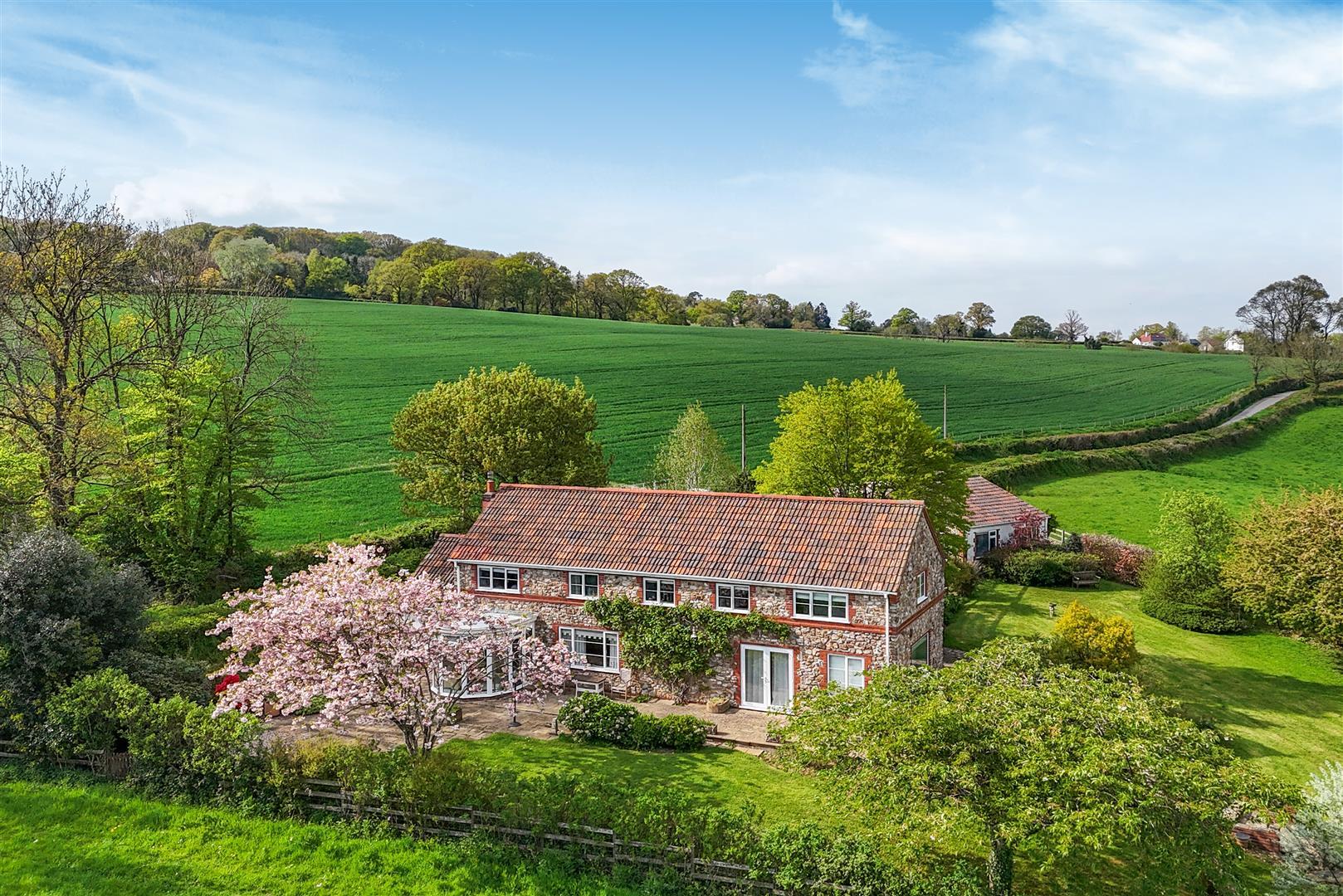Property Image 2631a63d-2ded-4174-bdab-a9be0dc87565