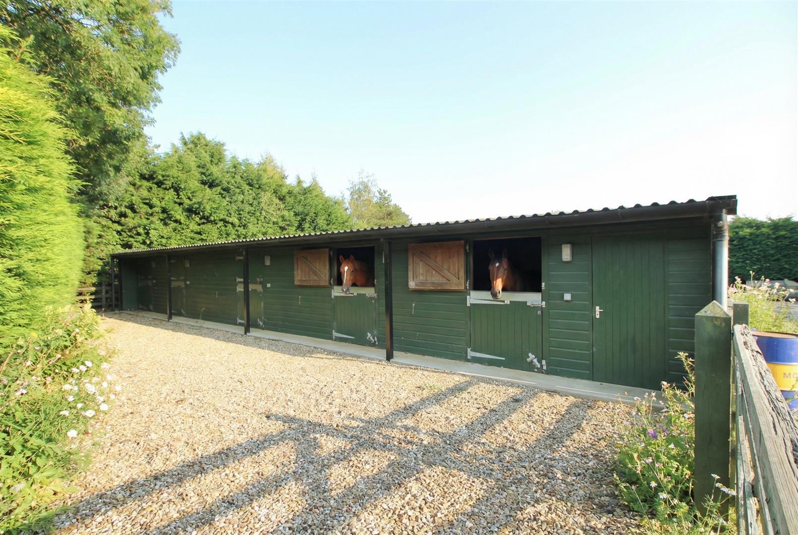 Property Image 263604e3-21e6-4d1f-9fde-3e79d2bb93ca