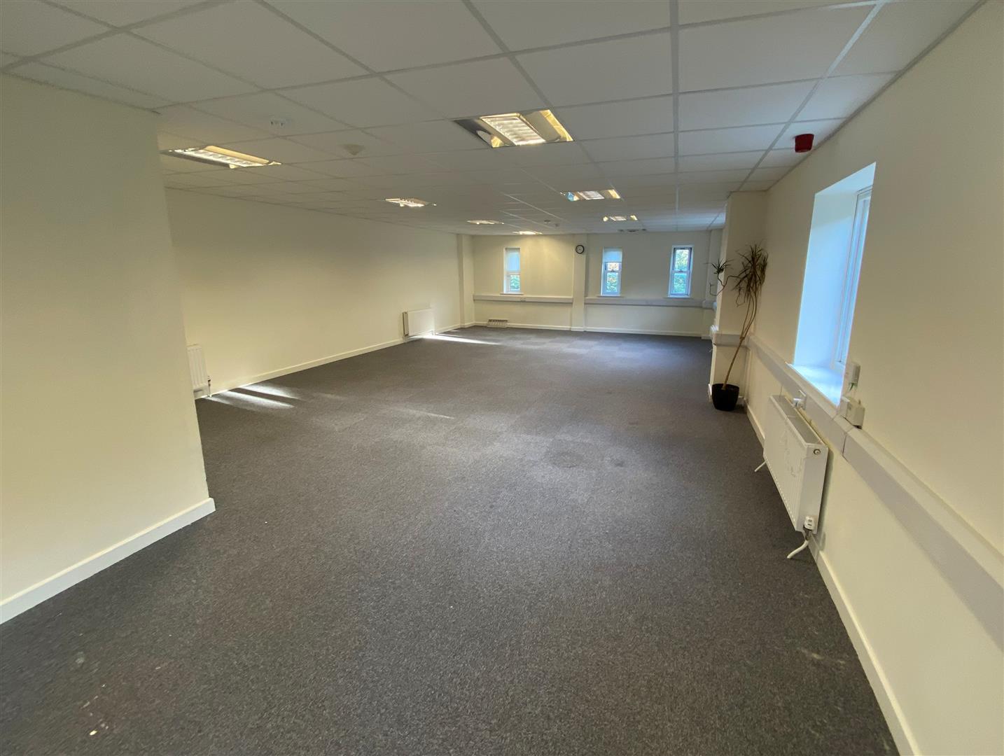 Property Image 267d80d6-b2a3-46a4-8863-d09406b749de