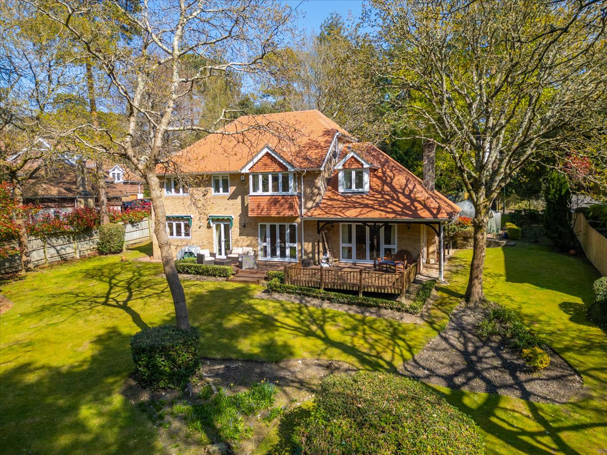 Property Image 26b2d81e-8821-4e5b-a44b-35af34b1179c