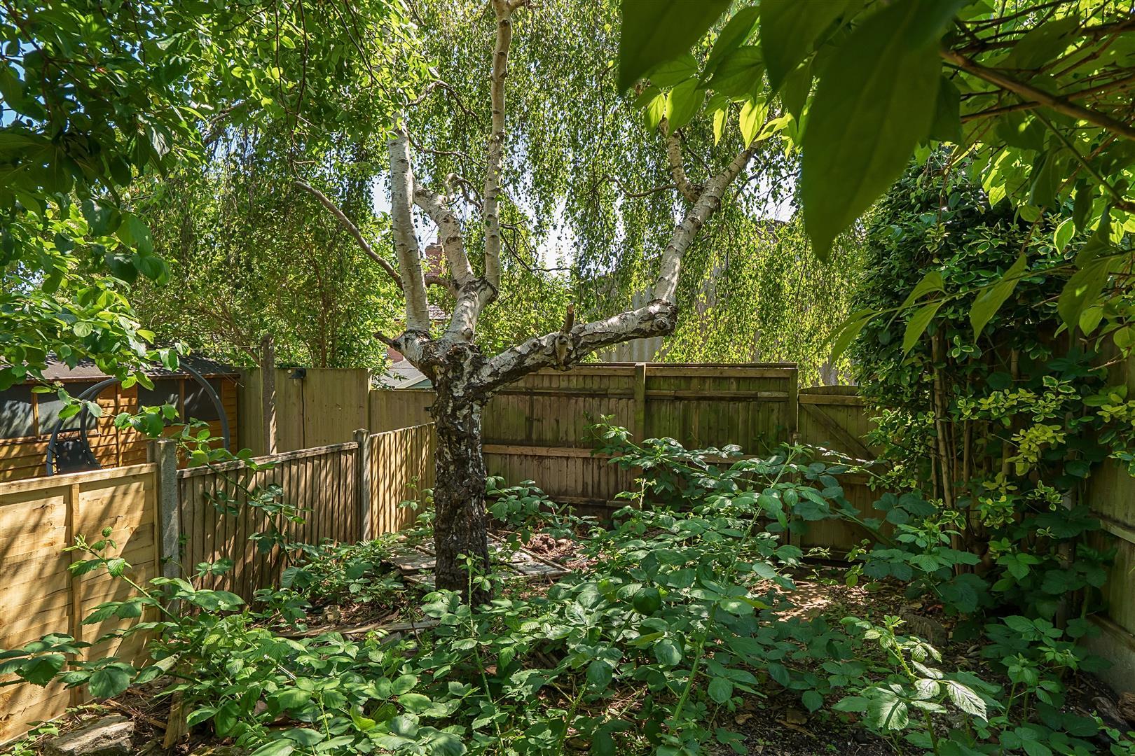 Property Image 2710701f-e24b-43c6-8287-7322fc4321bf