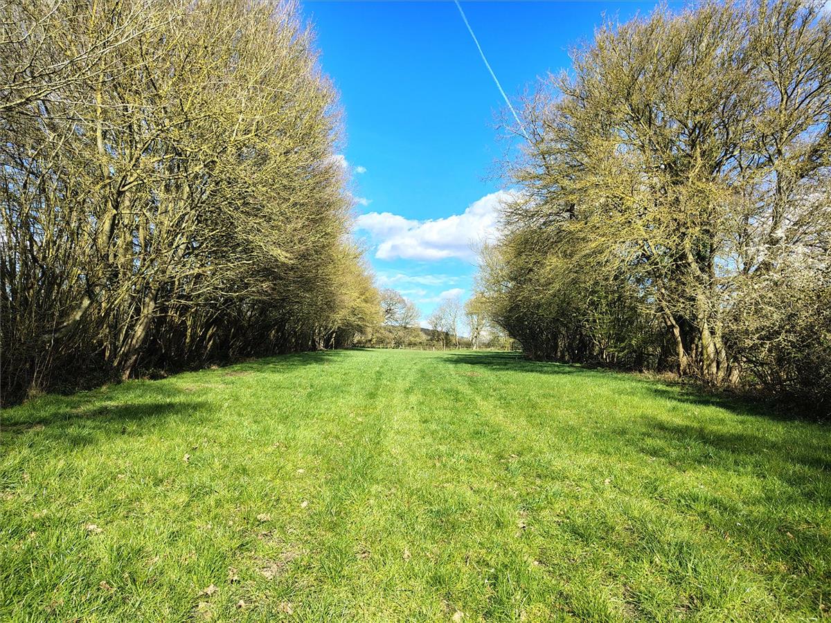 Property Image 27111f1c-6c6b-4cf5-b1c7-75973bbb030d