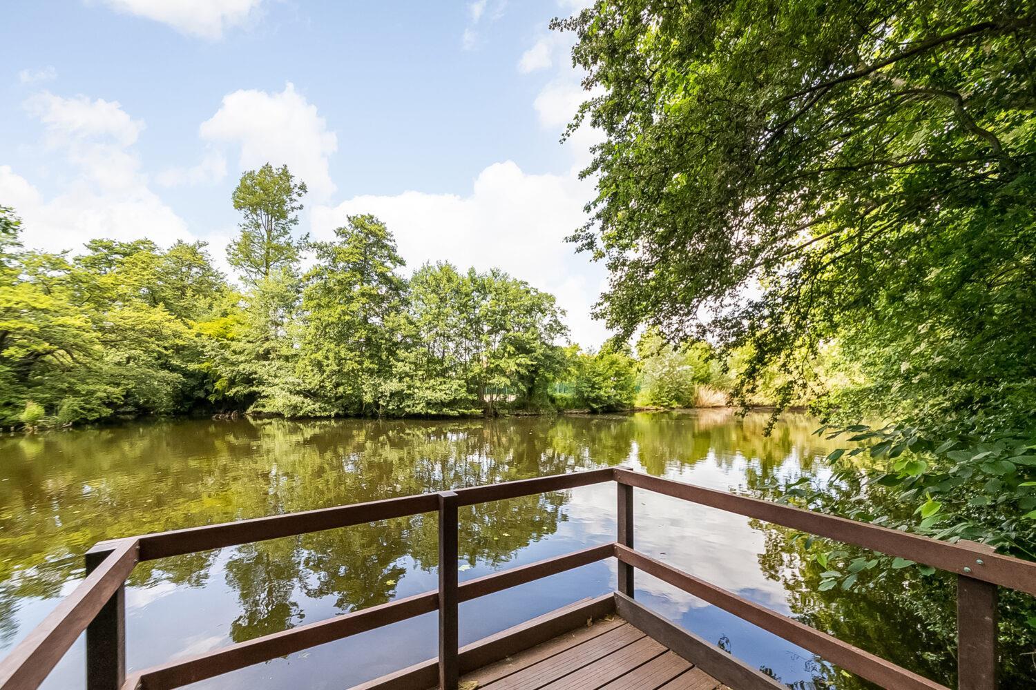 Property Image 2730673a-48bf-474c-ac9a-4dd43f3440f5