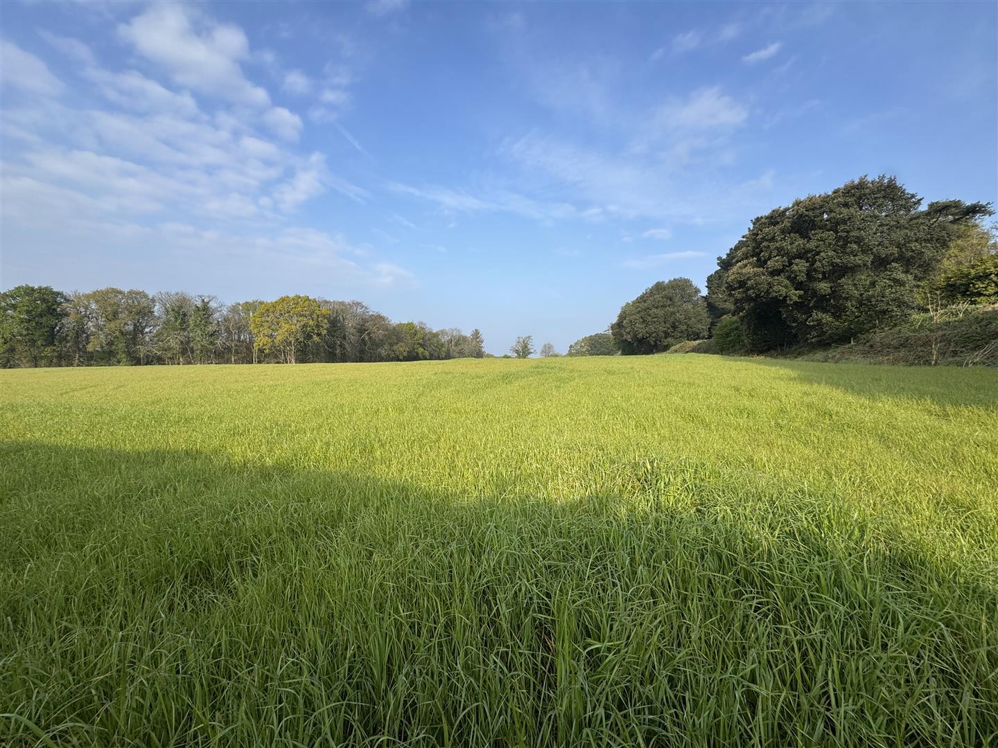 Property Image 276c1221-109a-4892-a6cb-35a0b6485925