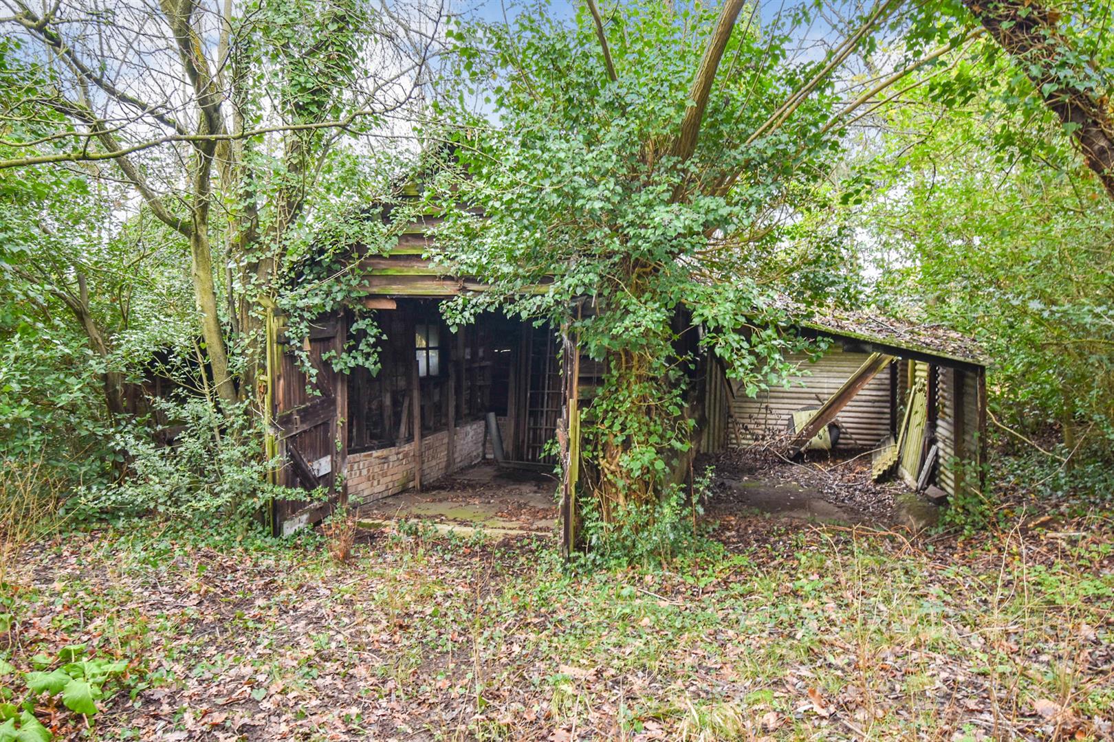 Property Image 2781d6ca-04f9-410c-b348-593c133863e3