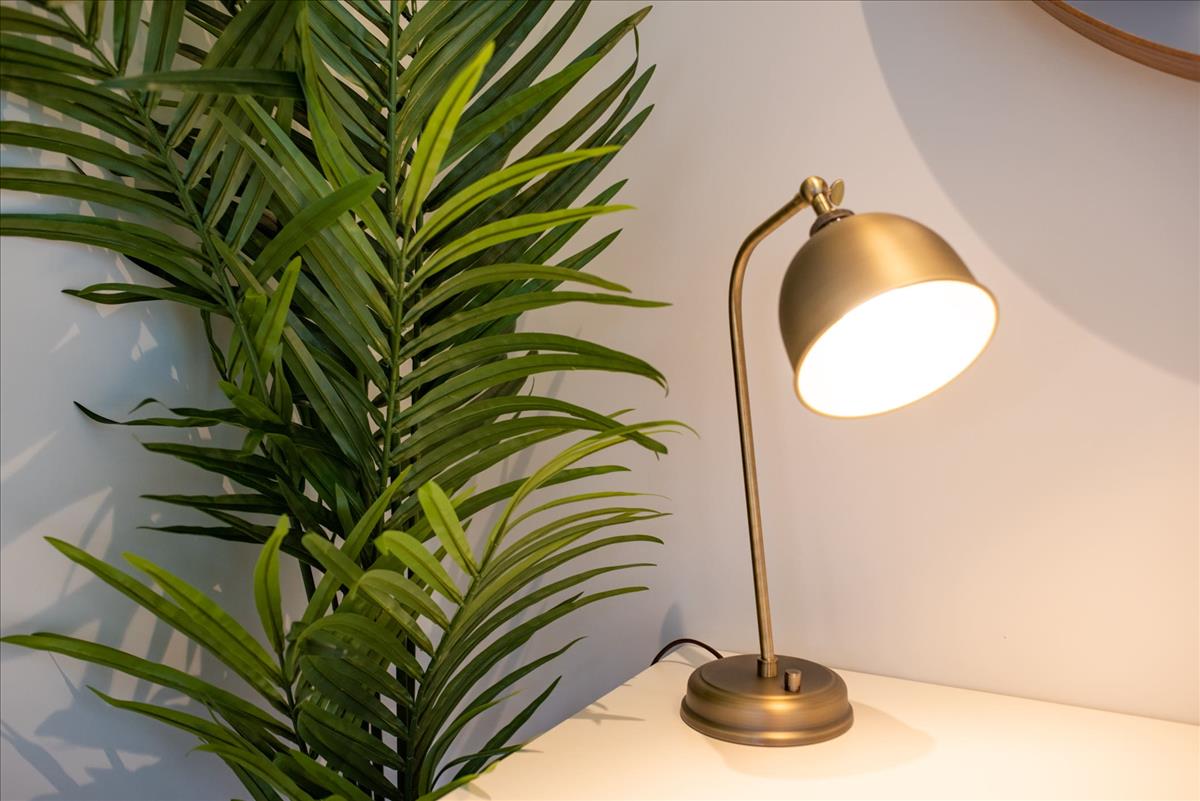 Property Image 27a1ab8a-2a66-4ba9-a2b2-6d6f7b65250c