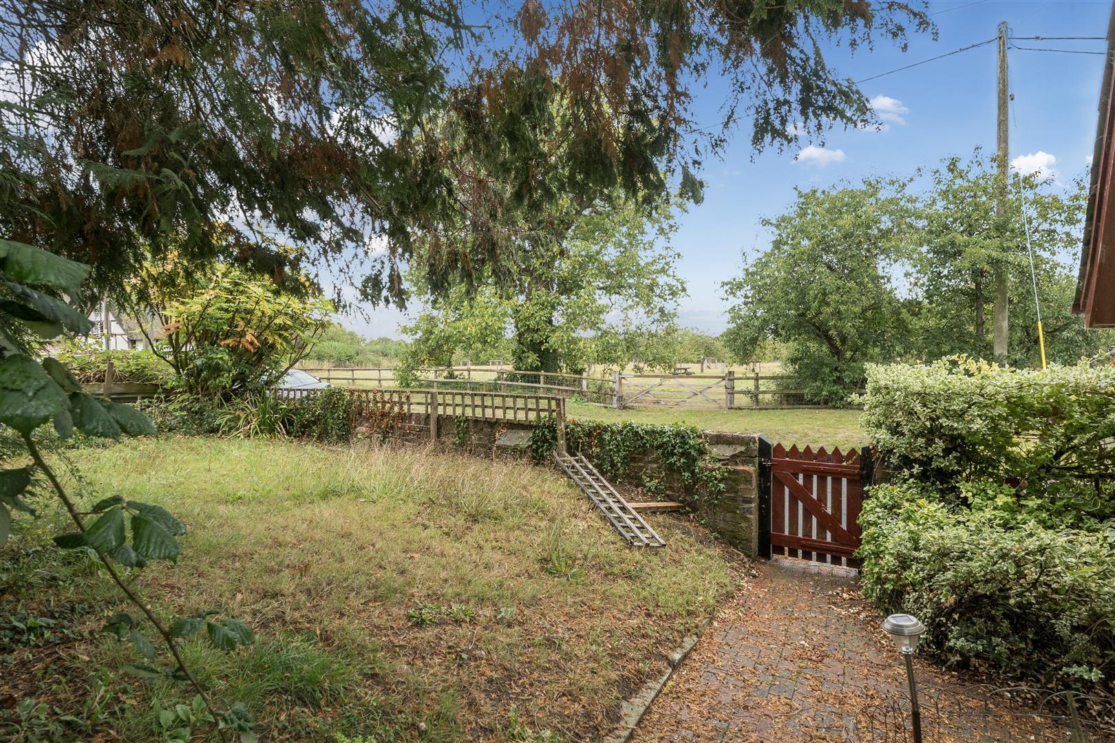 Property Image 27b76bb0-a18f-44ca-92c5-c1f8e83ca7bc