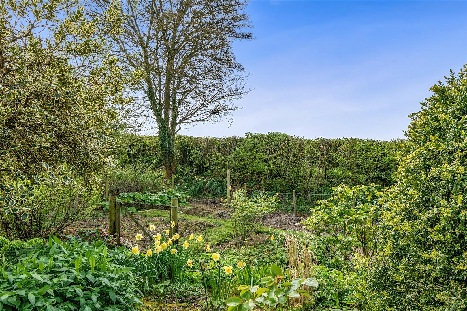 Property Image 27c031c6-5115-4ef0-9fa2-a91f1b07fd2d