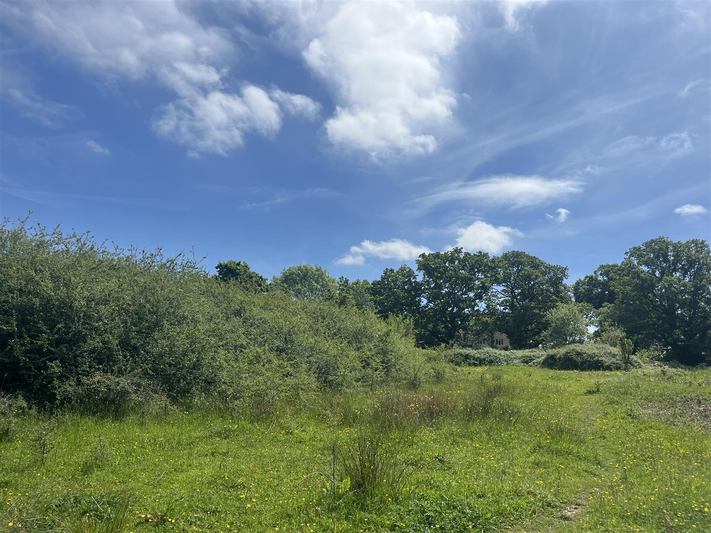 Property Image 281756e1-a8a3-465b-bccc-a9d43bccaec6