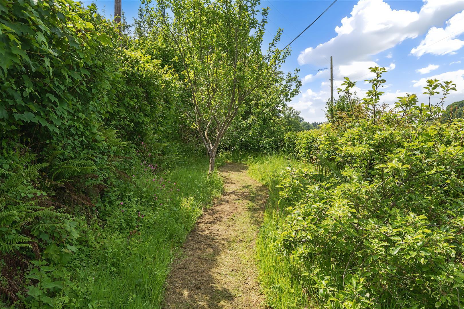 Property Image 2870399c-8142-454c-9a3e-1ad76bd35de9