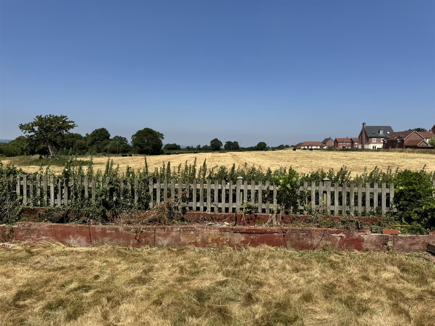Image 16