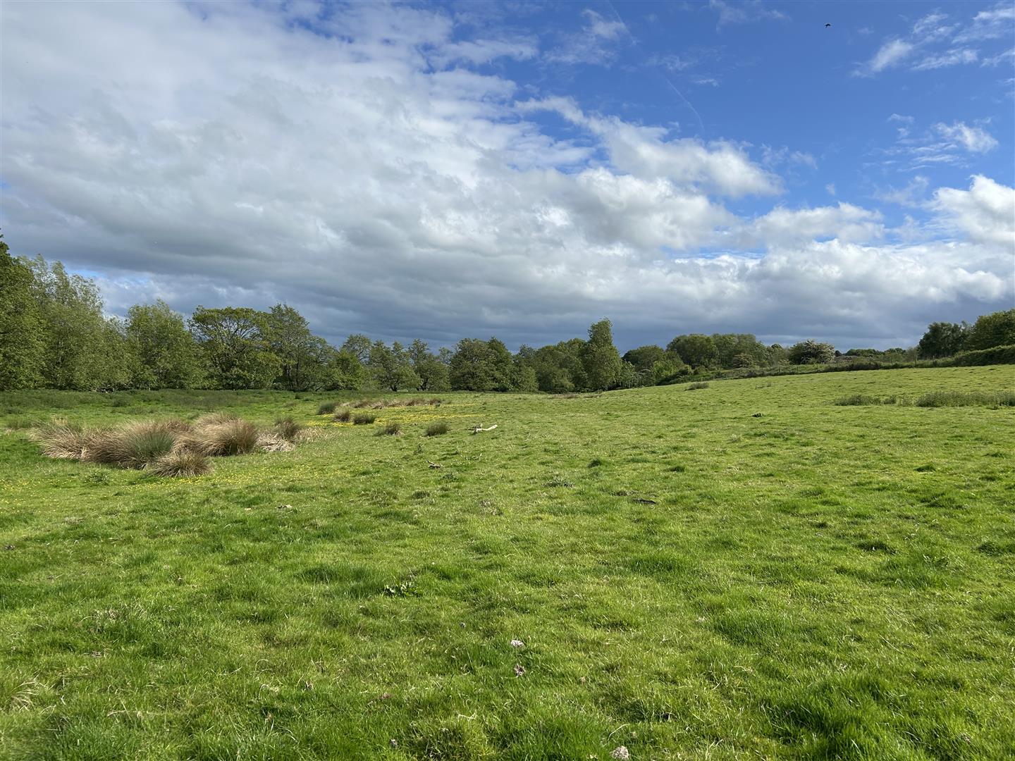 Property Image 28a4f801-70ba-410d-a0df-5b98e410cb0f
