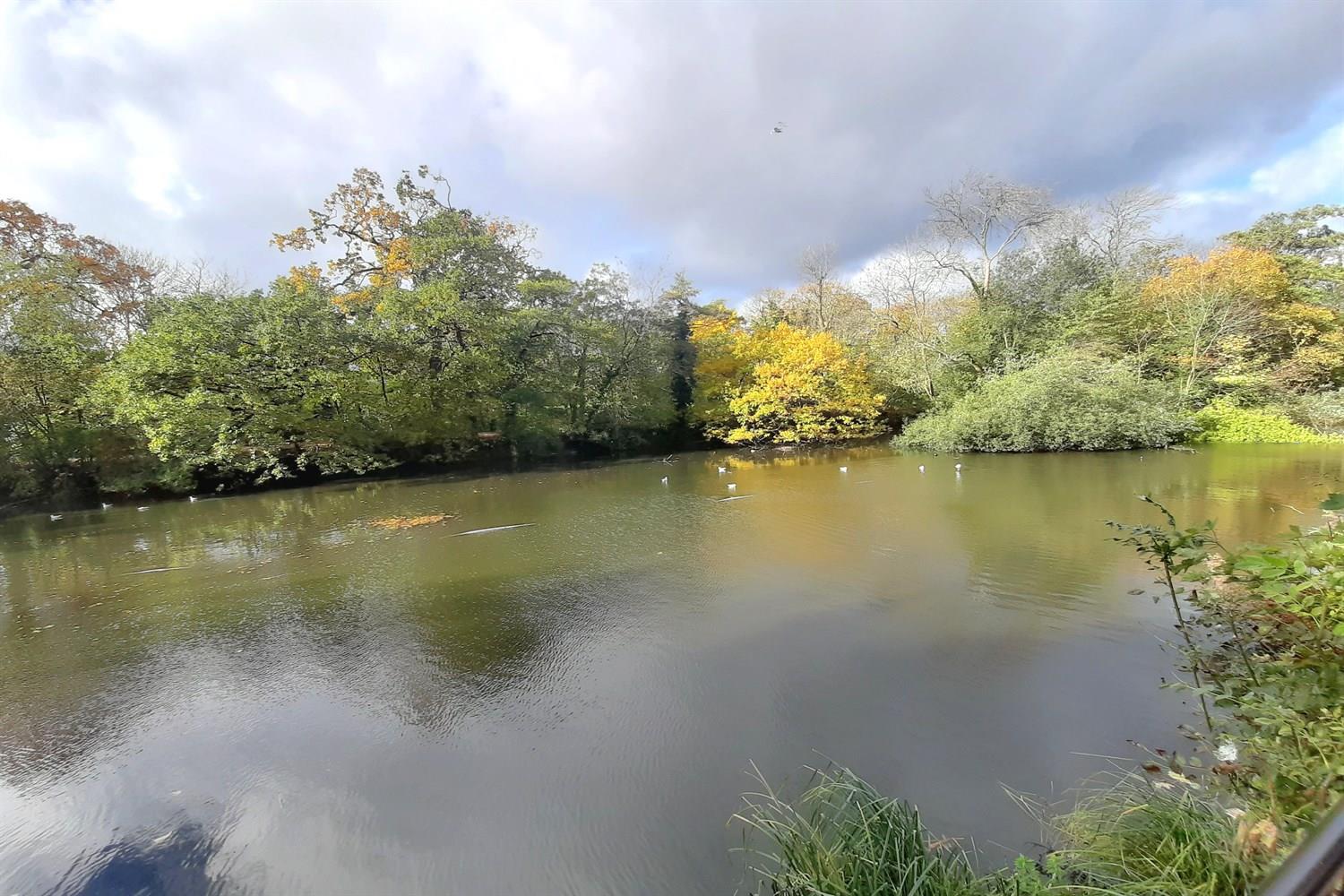 Property Image 28aeedd0-3f7c-40cc-82d6-d9c8b6f01168