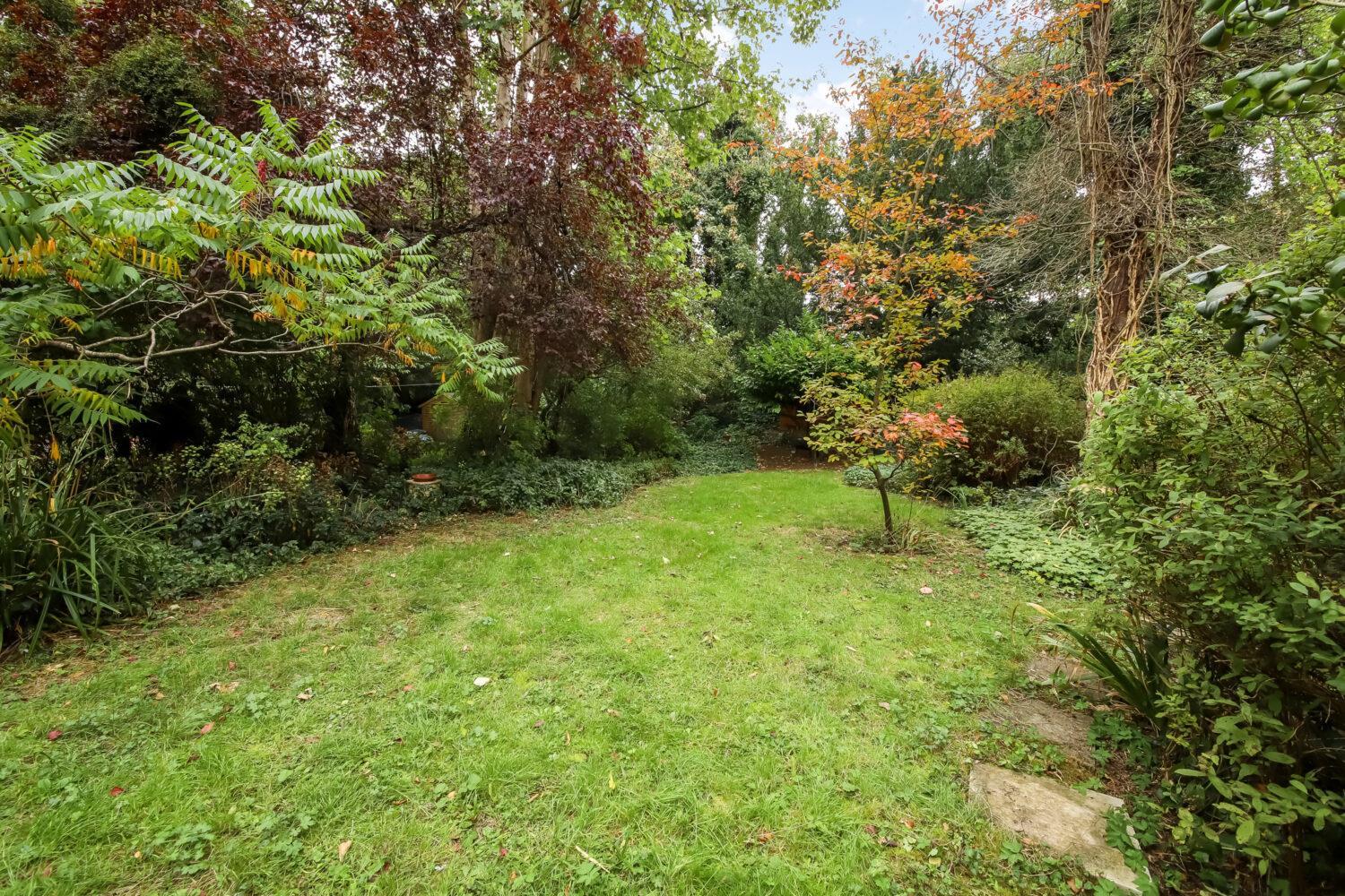 Property Image 28e79a17-4516-4ca4-ae13-14da03e55c25