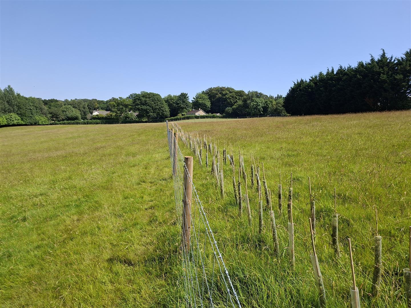 Property Image 28f32fa1-f283-42e0-a1d6-4375568ec6e7
