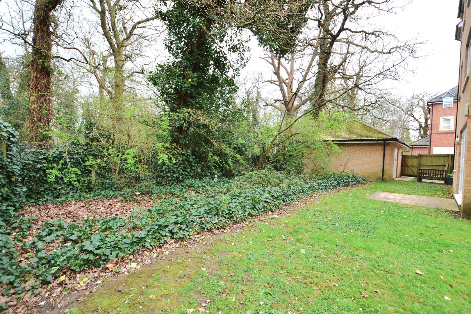 Property Image 291cd92f-ef8e-4378-839c-20c8308432cb