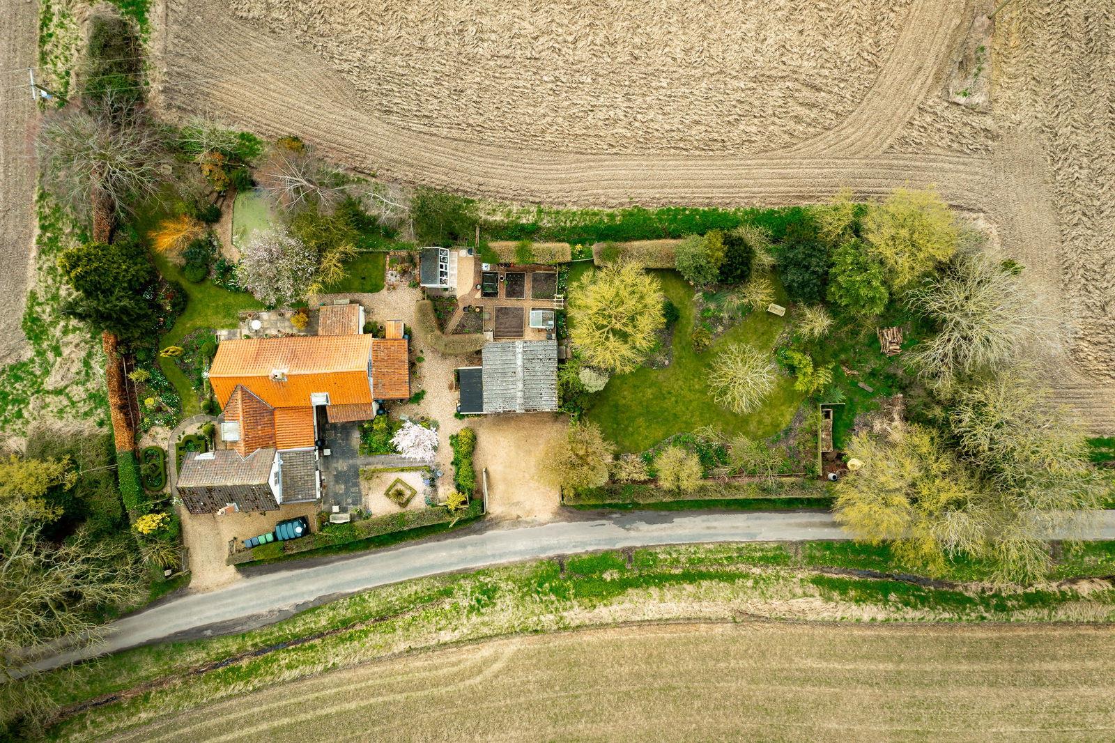 Image 29