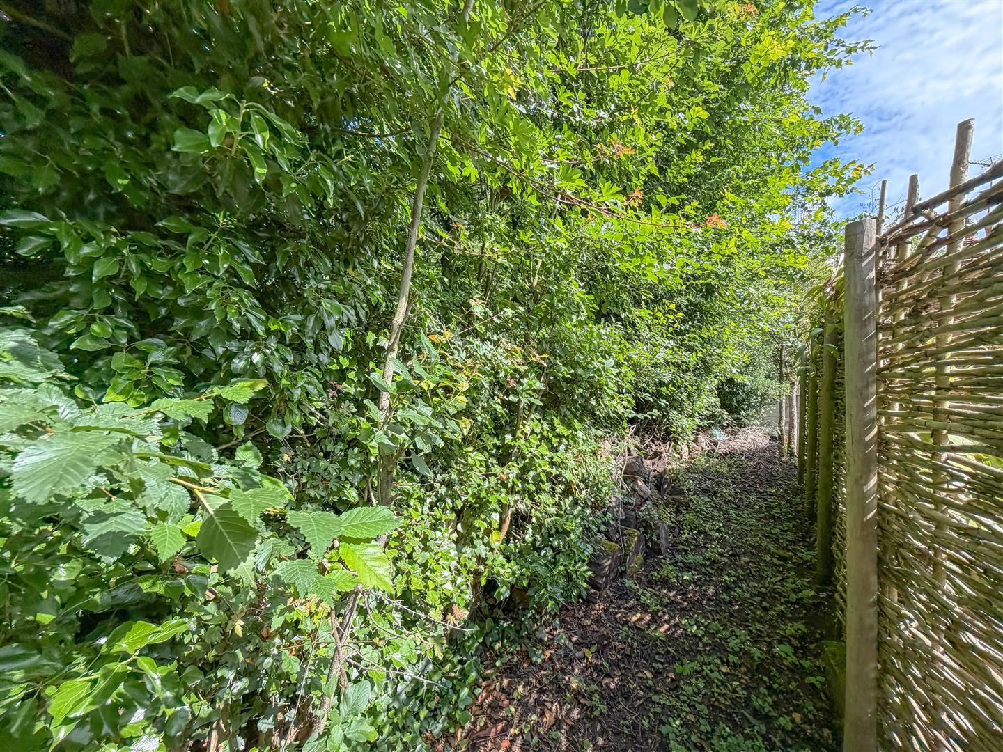 Property Image 293d2b9d-426b-4ba5-a7e7-af465615d3eb
