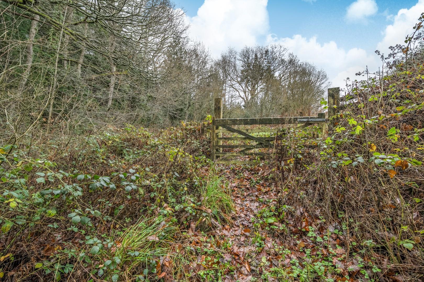 Property Image 29430c76-7385-4827-9c87-b4d0d07a0336