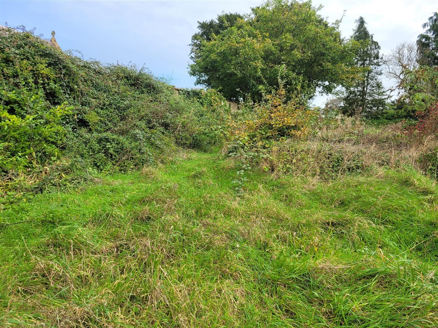 Property Image 2944f5fe-54de-4a45-857d-6df814d27759