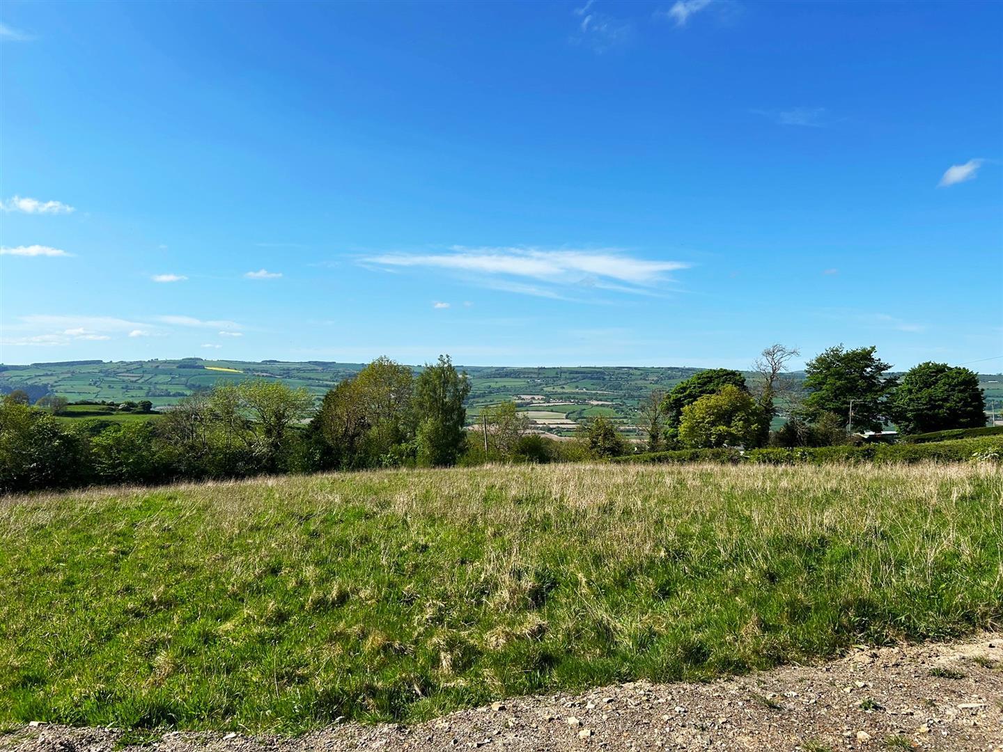 Property Image 29505b38-2f38-4f69-ad05-d4a9eb8ec1d9