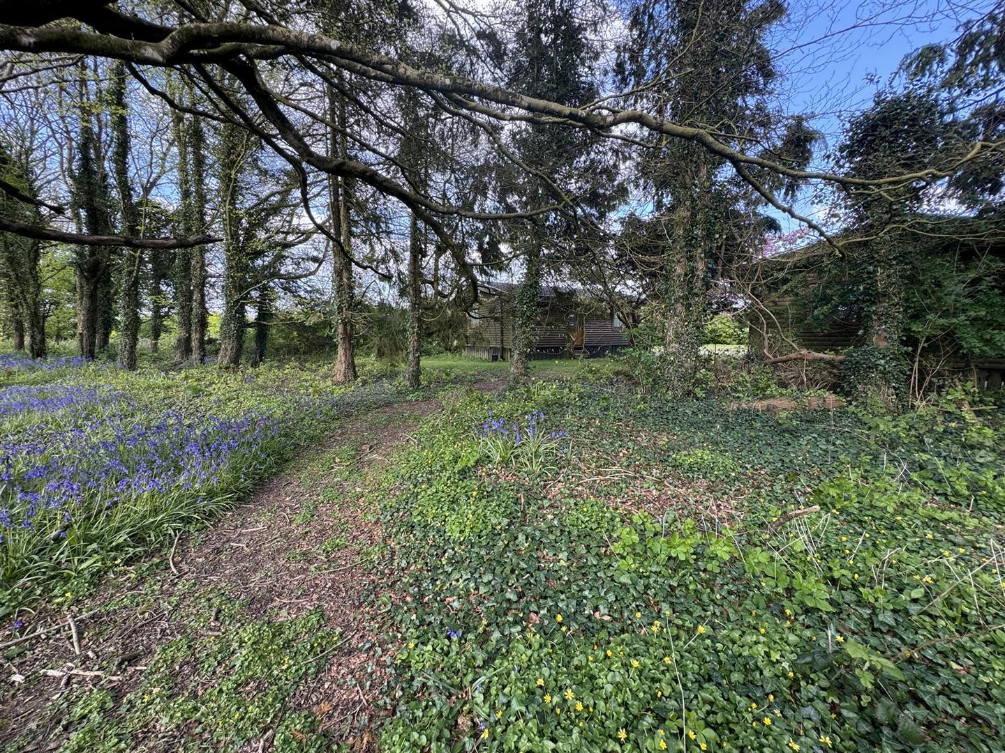 Image 22