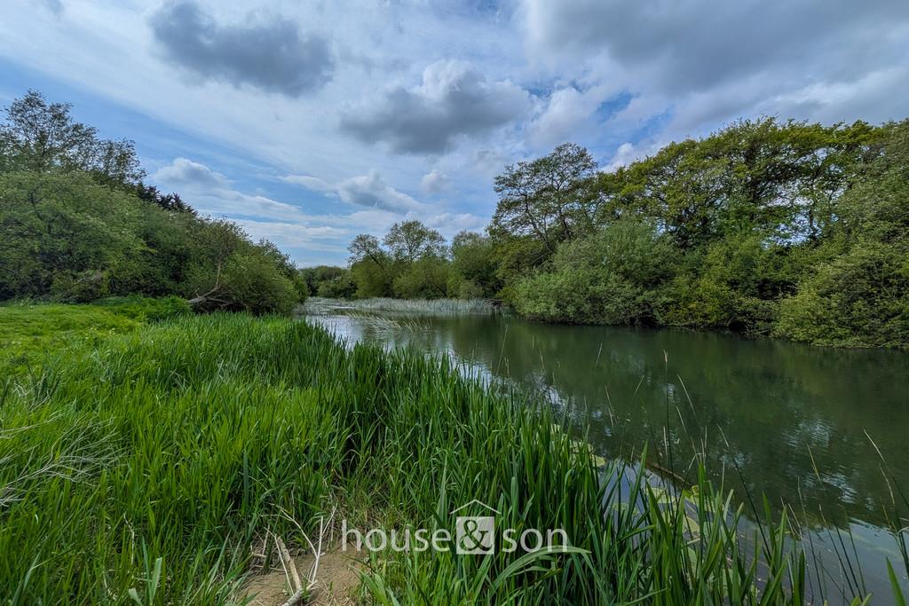 Property Image 299ad59b-bfcf-4bd9-8994-1b9db62b7727