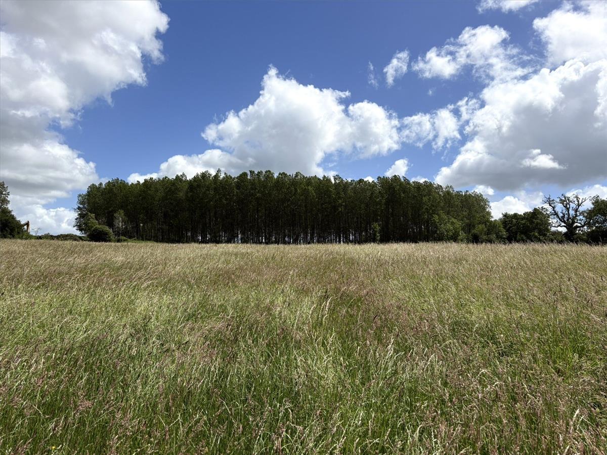 Property Image 29c3b6ab-af0d-4239-a4f4-be62f5af1ae8