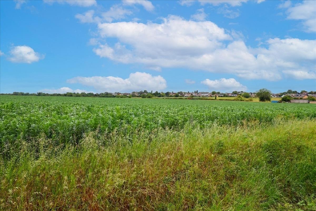 Property Image 29cc9046-a4c0-421f-b6a5-6a2201d3d933