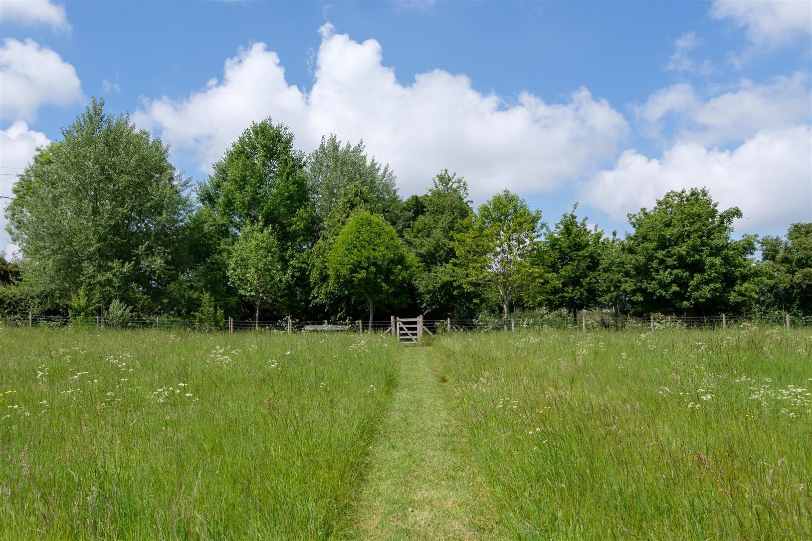 Image 25