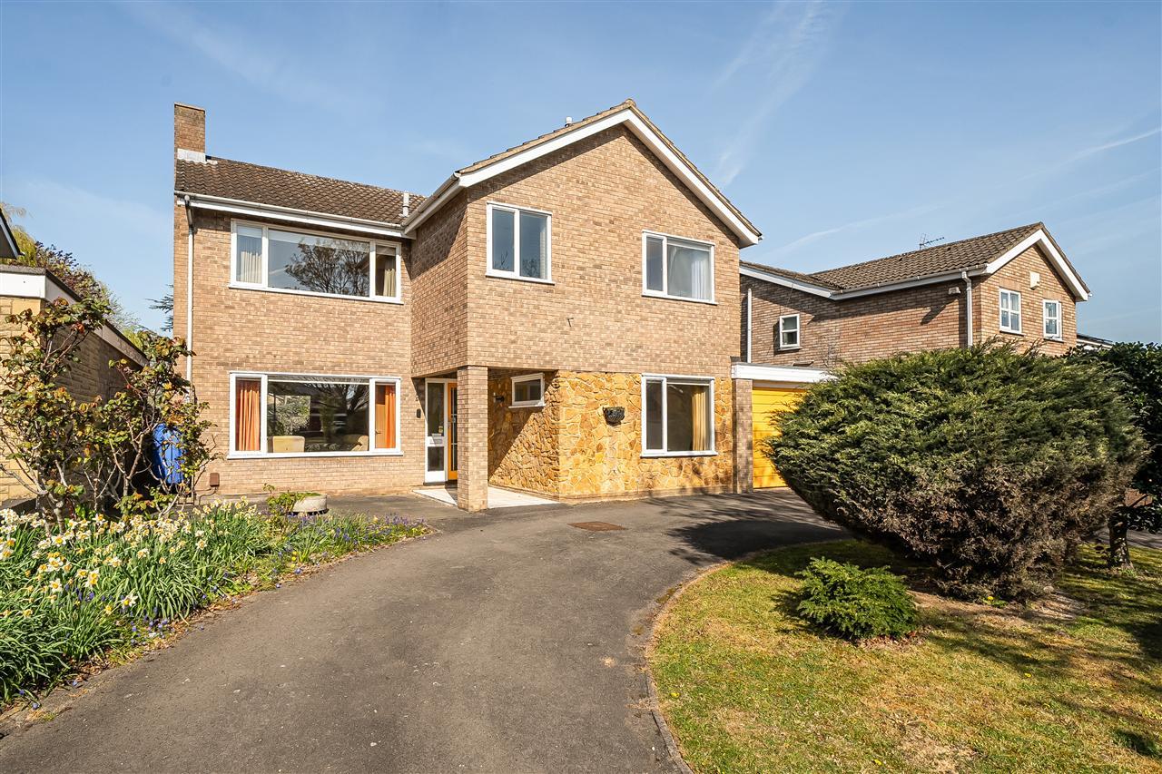 Property Image 2a075a42-8a29-4dc7-bd7b-2ff43b43d67c