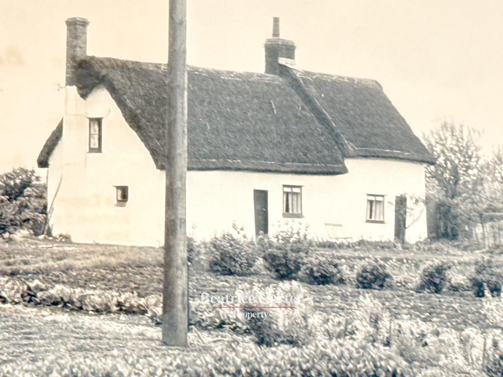 Property Image 2aa1978e-88a6-4067-aa2d-ecd41e989583