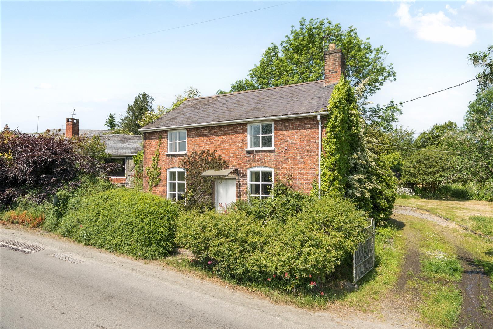 Property Image 2ad81e74-5bf9-40e0-be05-80242def74ec