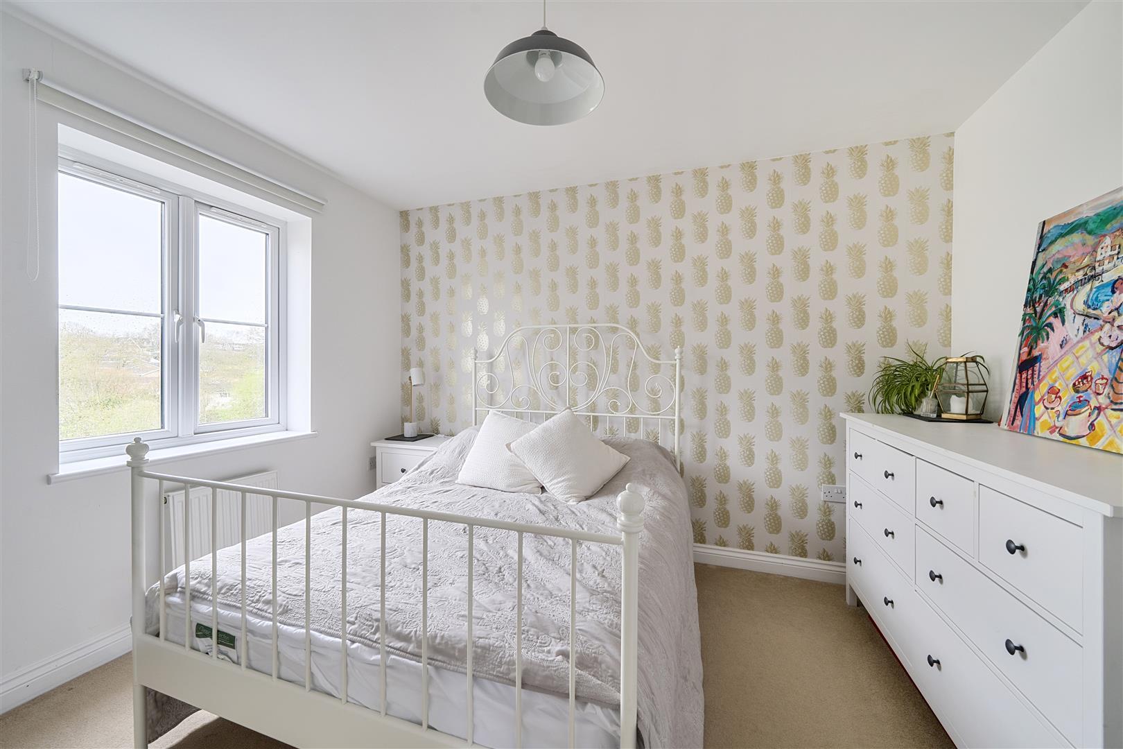Property Image 2ae885a5-7be4-4a0f-ab6e-bff9bfc9662a