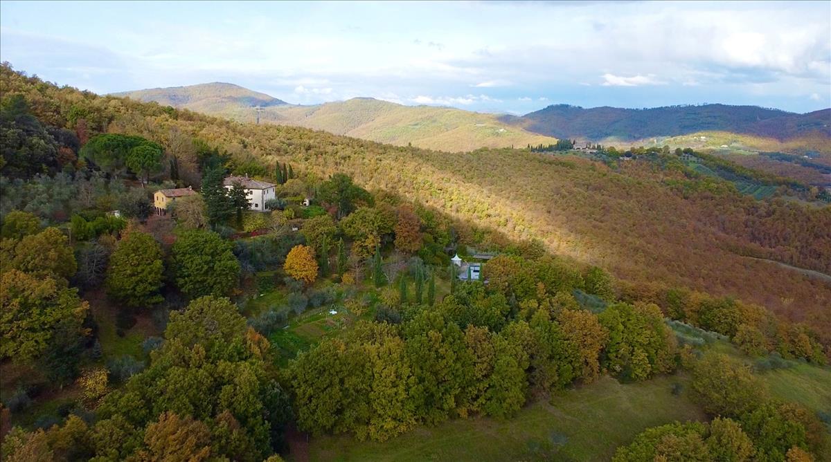 Property Image 2af6766a-bee7-4d84-bd33-56f5c8d4dc91