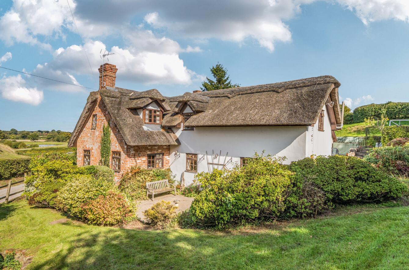 Property Image 2afc2dd3-5b1a-42e2-b525-8d4c06212eaf