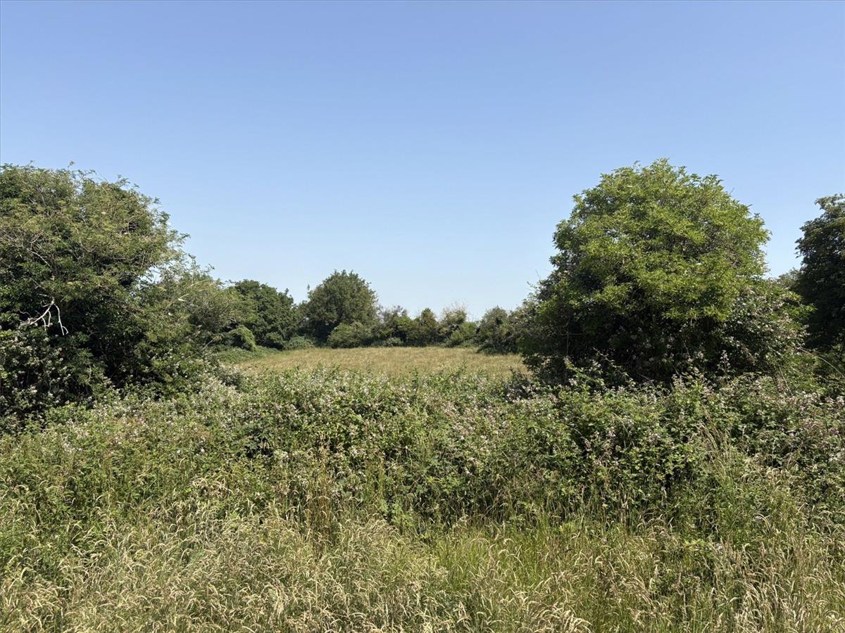 Property Image 2b1a2f9c-cb39-4495-bc7f-cec165c408be