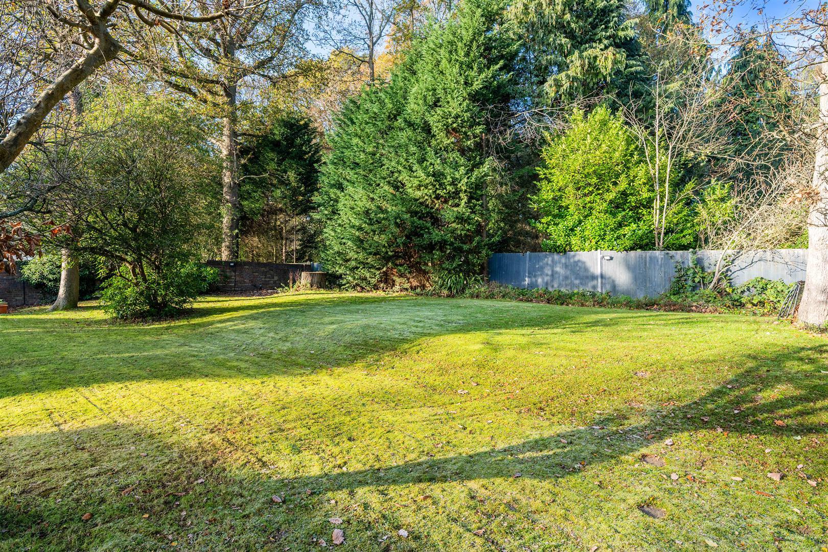 Property Image 2b87c397-a557-4008-a6eb-316b1fc45128