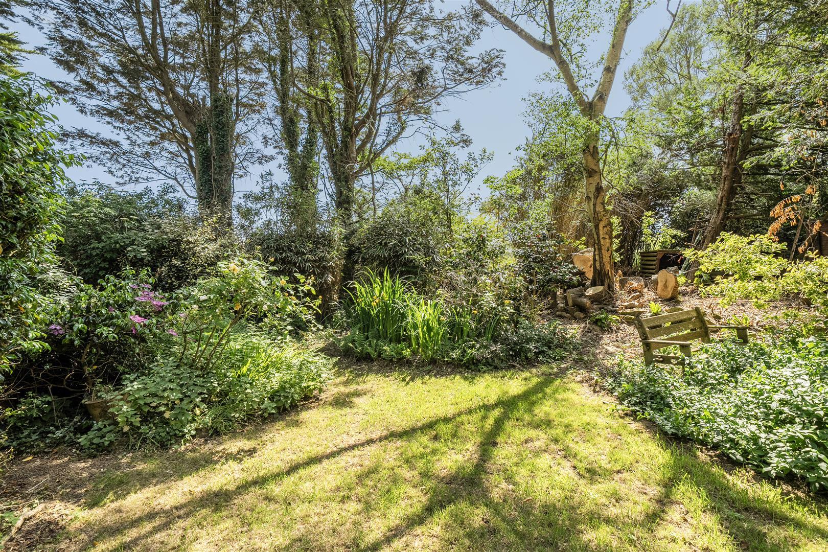 Property Image 2b88886c-5fa1-4b54-ba61-184ae6336dc6