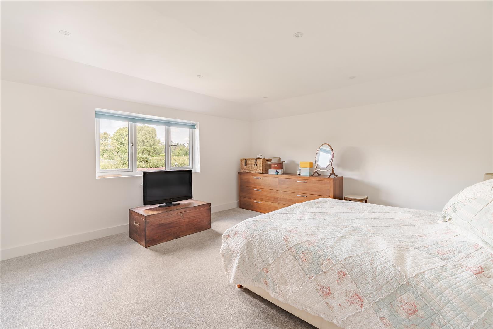 Property Image 2b9c1ffd-c981-46d0-8654-eacbd5aabc24