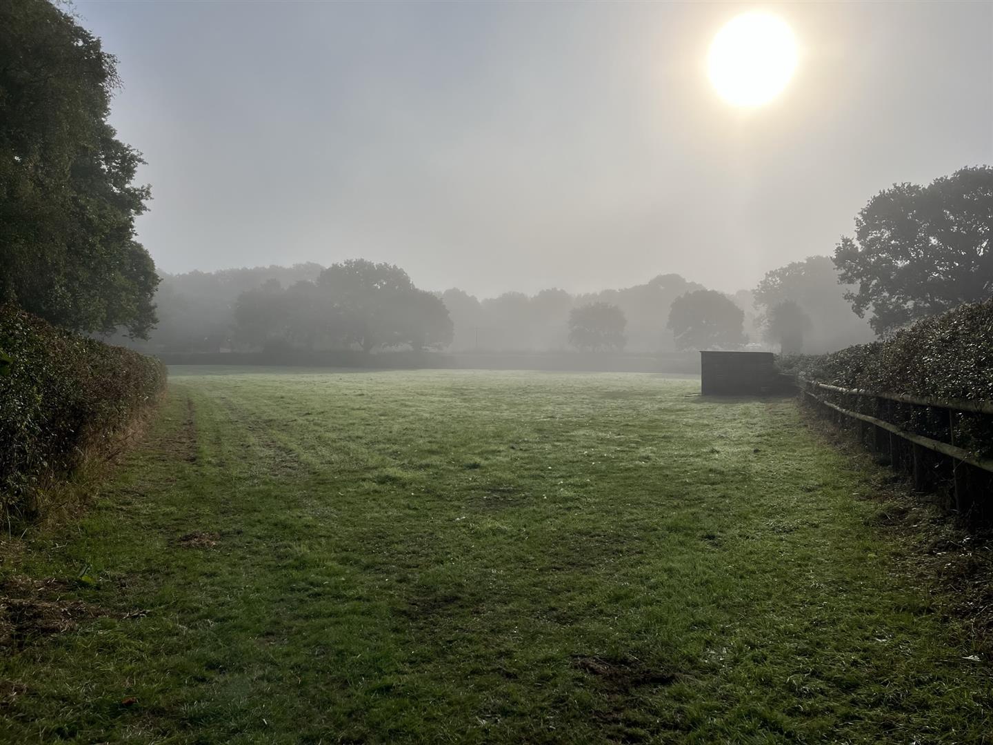 Property Image 2b9ccc3d-c2ea-40f8-94b0-80fbf56b770e