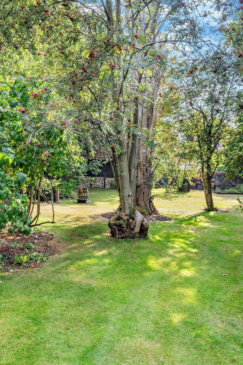 Property Image 2bf56f68-6c42-4677-a22e-00ed3d28ab3b