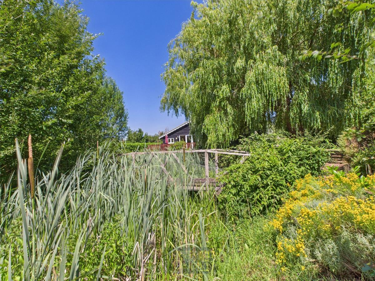 Property Image 2c019a01-3e14-4f03-bd73-c6e1b737e9ce